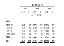 蕉下赴港上市 重销售轻研发的路子能走多远？